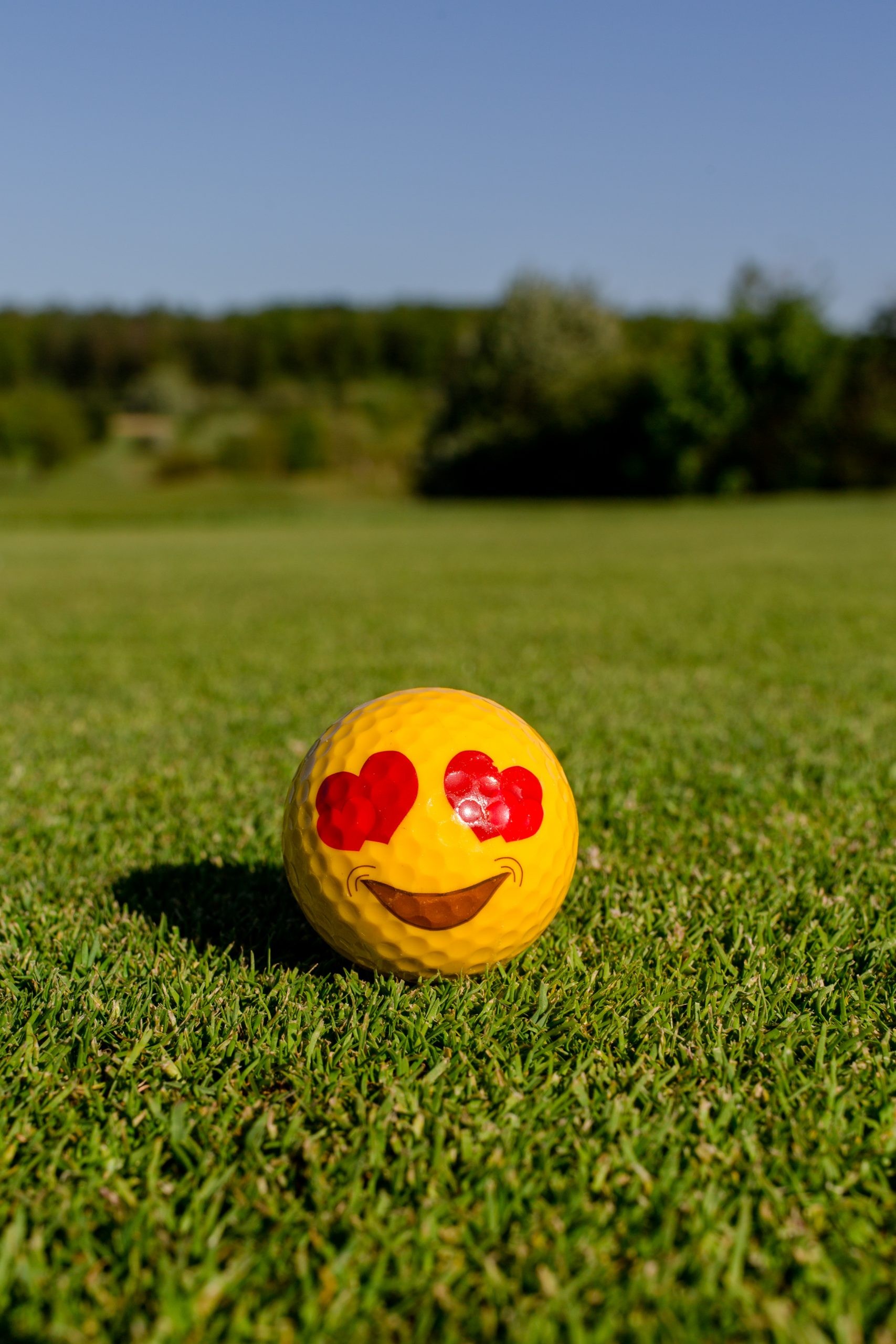 smiley-golfball-golfplatz-altenstadt